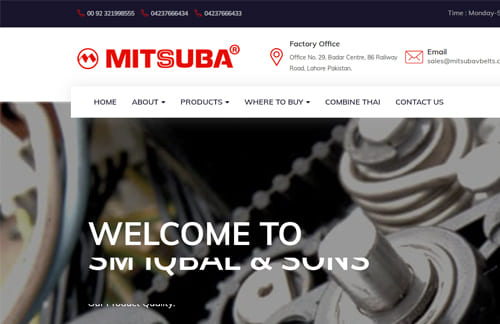 Mitsuba V Belts